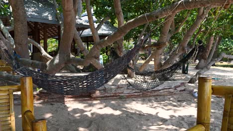 Relaxing-scene-at-tropical-island-with-slowly-rocking-hammock