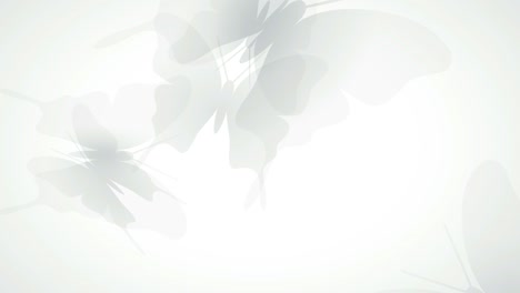 flying butterflies in transparency on a white background. animated abstract illustration. springtime