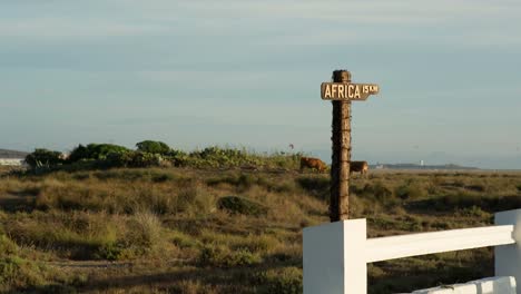 africa sign 00