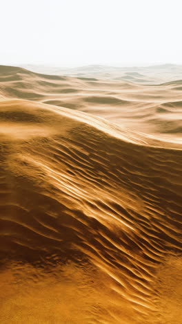 stunning view of golden sand dunes in a vast desert