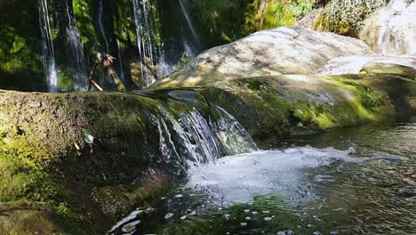 Este-Metraje-Captura-La-Esencia-De-La-Tranquilidad-Natural,-Invitando-A-Los-Espectadores-A-Sumergirse-En-El-Ambiente-Pacífico-Del-Bosque.