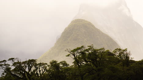 Silver-Beach-Trees-Und-Mitra-Peak-In-Neuseeland-Mit-Nebel-Bedeckt