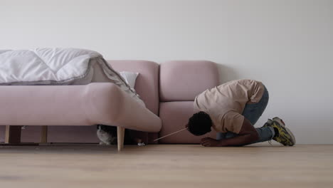 Gray-cat-under-the-sofa