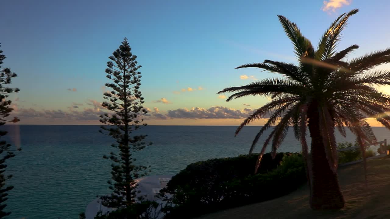 Video of a majestic sunset peaking around a palm tree in the Bermuda