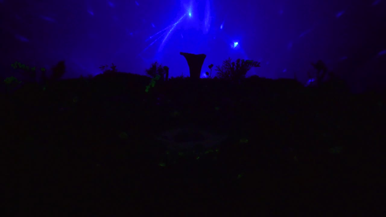 Lively blooms against a blue background, illuminated by revolving lights transitioning from shadow to radiance, symbolize creative expression and celebratory ornamentation