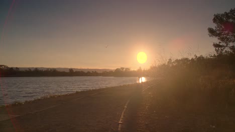 silhouetted man walks towards sunset. bird flies. 60fps