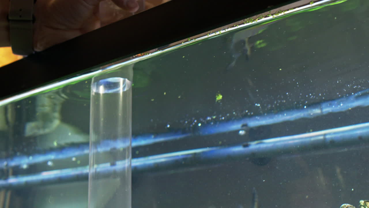 수족관 자갈에서 진공 리프팅 파편 아래로 기울기