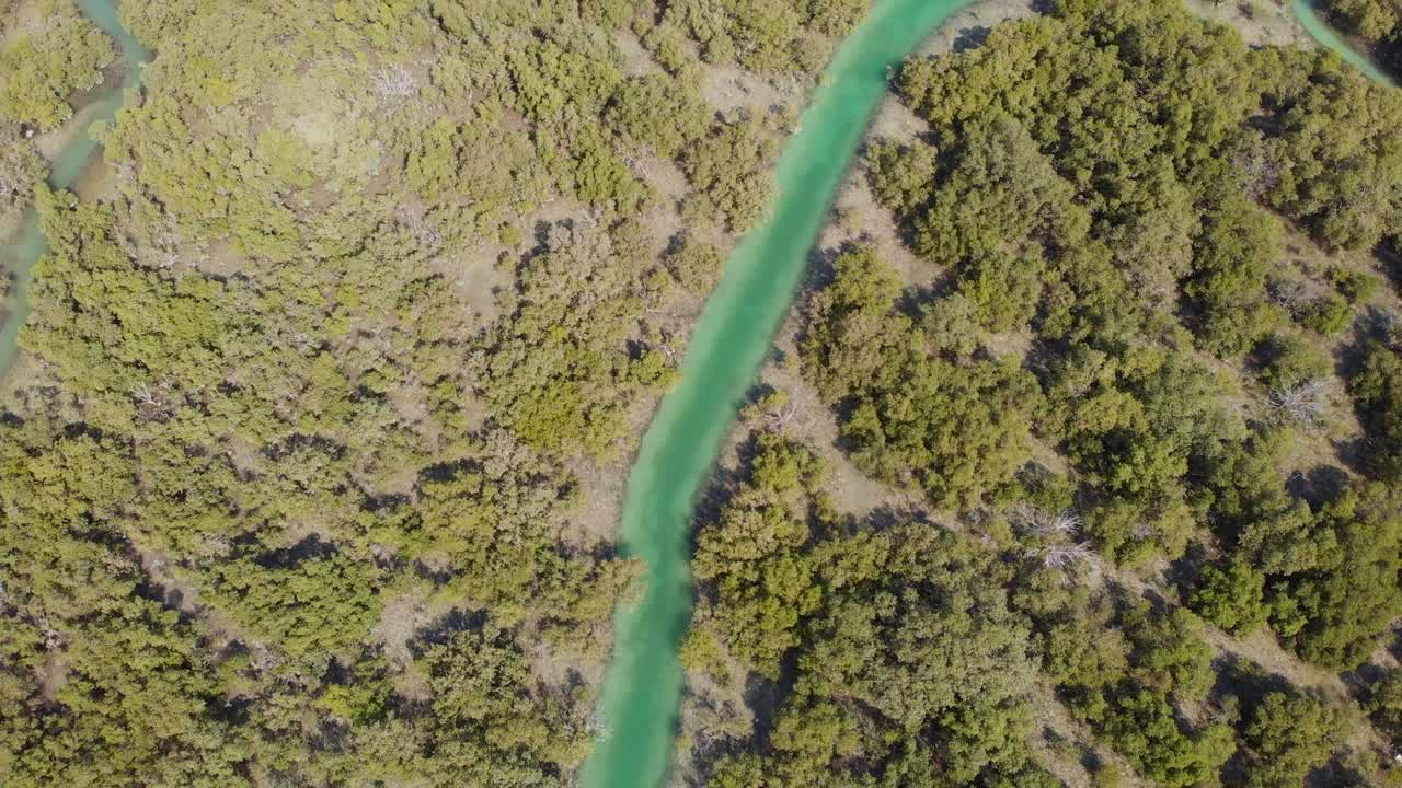 ojo de pájaro aéreo sobre manglares que revela el paisaje urbano de al reem