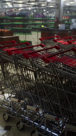 shopping carts lined up in a supermarket