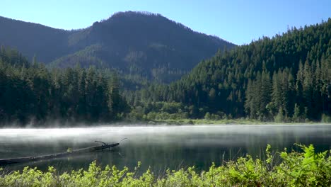 Vapor-Saliendo-De-Un-Lago-Salvaje,-Panorámica-De-Izquierda-A-Derecha