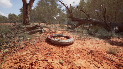 life ring buoy in desert beach