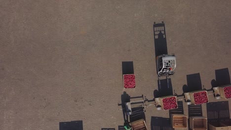 harvest of apples, small loaders, forklift trucks, machines load, put large wooden boxes full of apples on top of each other. top view, aero video.