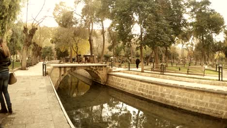 los gatos corren en el parque khalil-ur-rehman cruzan el puente de invierno en urfa