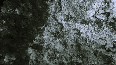 toma en blanco y negro de una vista de pájaro de una laguna