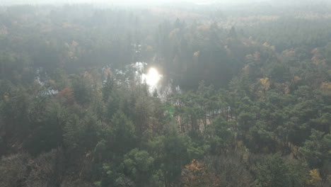 Aerial-reveal-of-lake-surrounded-by-forest-in-autumn