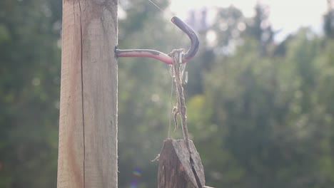 A-slow-pan-of-a-birdhouse-hanging-from-a-pole-in-the-garden