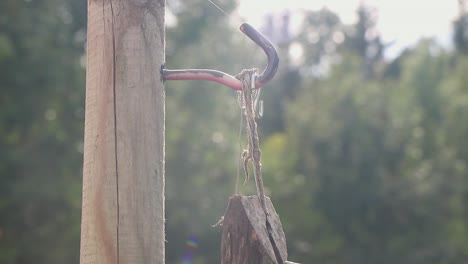 una cacerola lenta de una pajarera que cuelga de un poste en el jardín