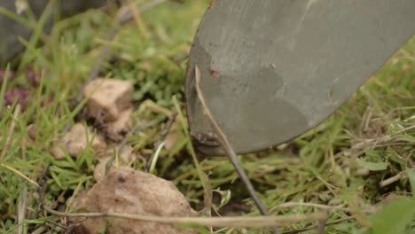 preparing a rockery