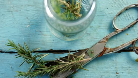 rosemary and scissors on wooden table 4k