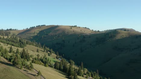 deforested mountain with lush green pasture in summer under bright blue sky