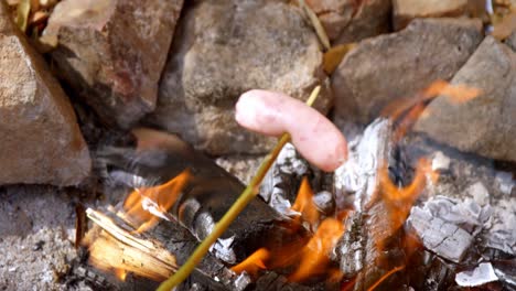 Hot-dog-roasting-over-fire-and-glowing-coals-4k