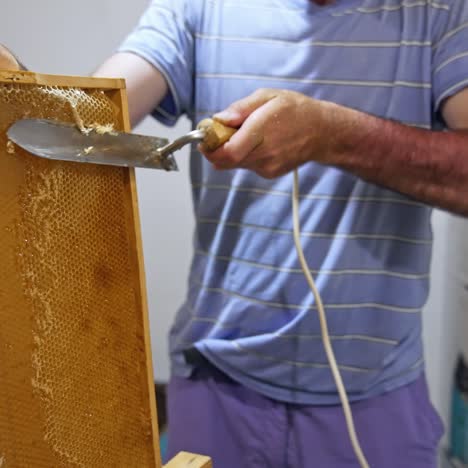 Extracting honey from honeycomb. Beekeeper cutting wax lids with hot knife from honeycomb