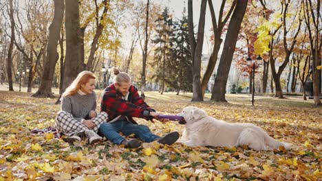 happy young man and his dog pulling over rubber circle, playing in autumn park, sitting with girlfriend on fallen leaves