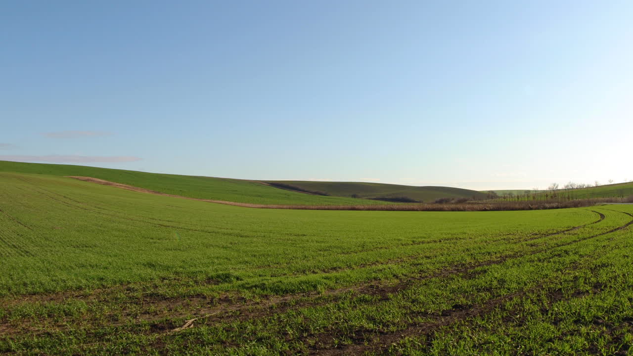 lapso de tiempo de nubes en movimiento y hierba en la región toscana de moravia durante un día soleado con viento fuerte en un campo recién plantado lleno de vegetación