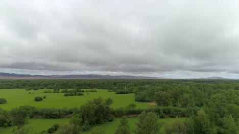 Flying-Over-a-Green-Field