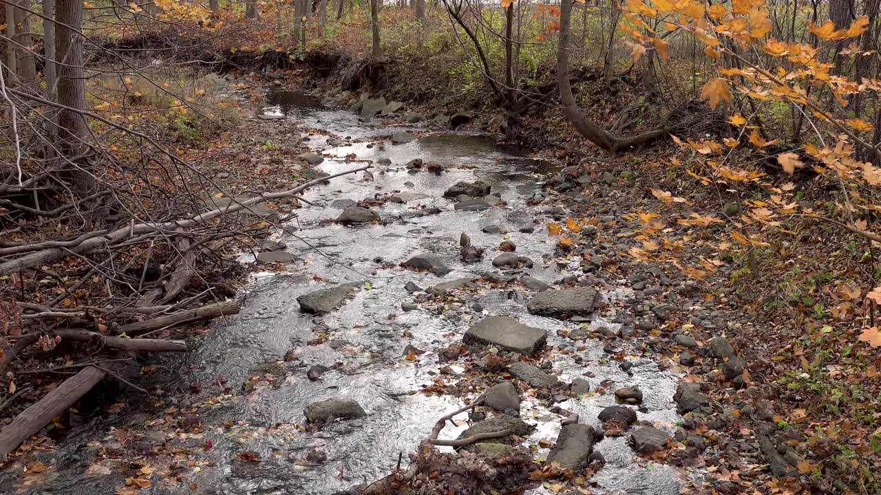 Wind Blowing Autumn Leaves In November Over Flowing Creek