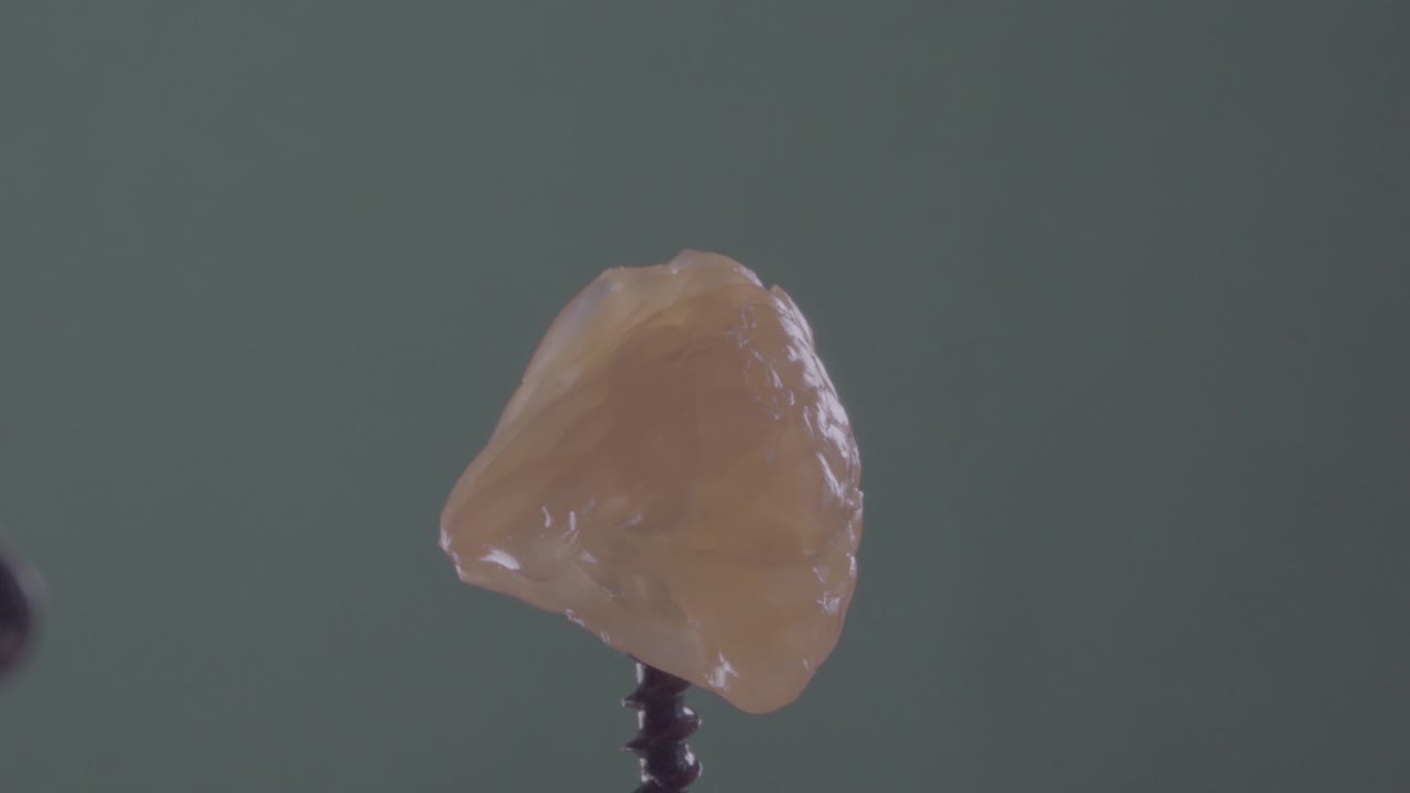 크로마 키를 위해 녹색 화면에 루프와 함께 회전하는 만다린