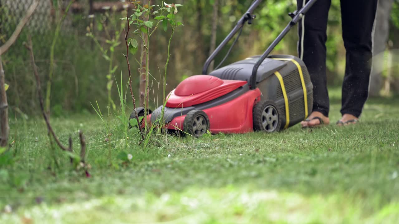 Gardener cutting lawn grass. Home garden grass cutting with lawn mower