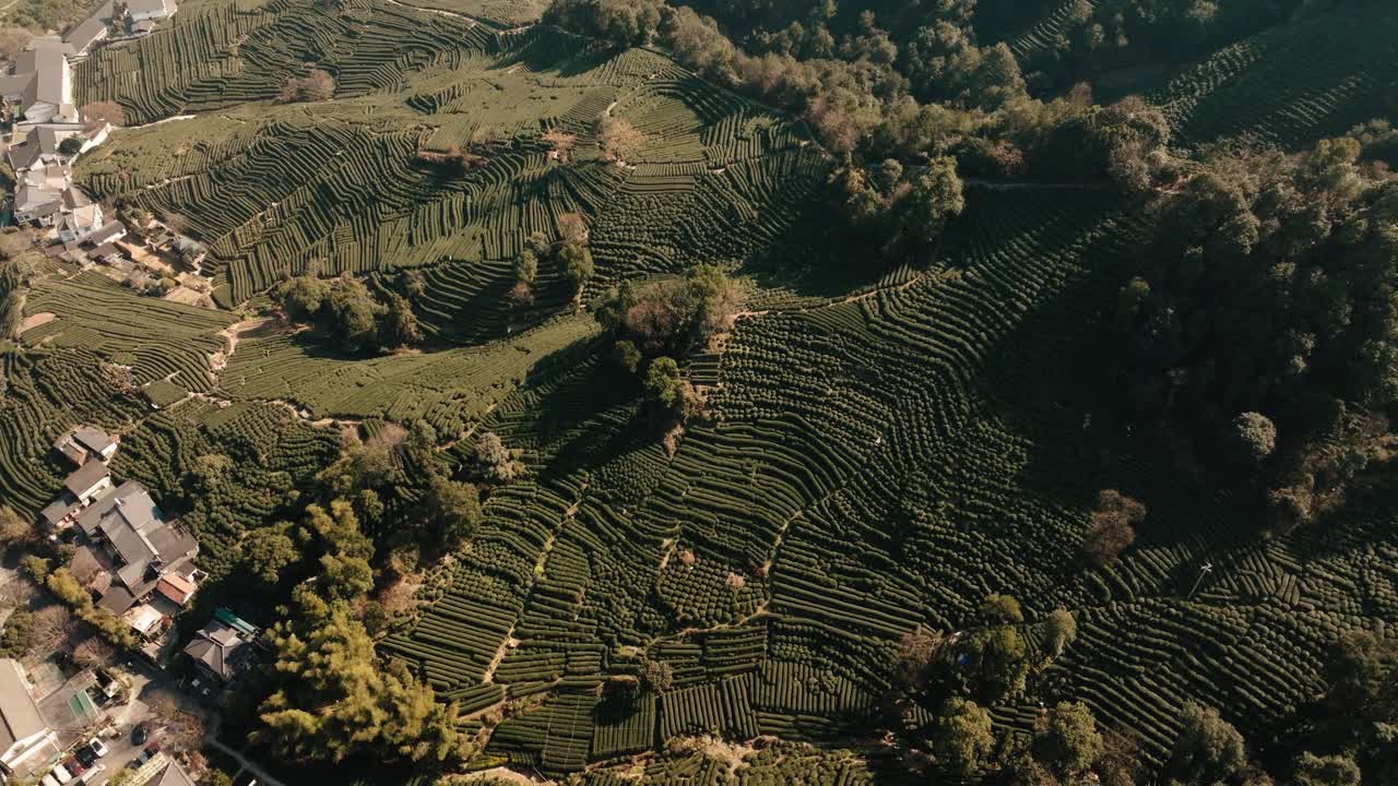 Wide aerial drone view of Longjing tea fields and hillside villages in Hangzhou, China