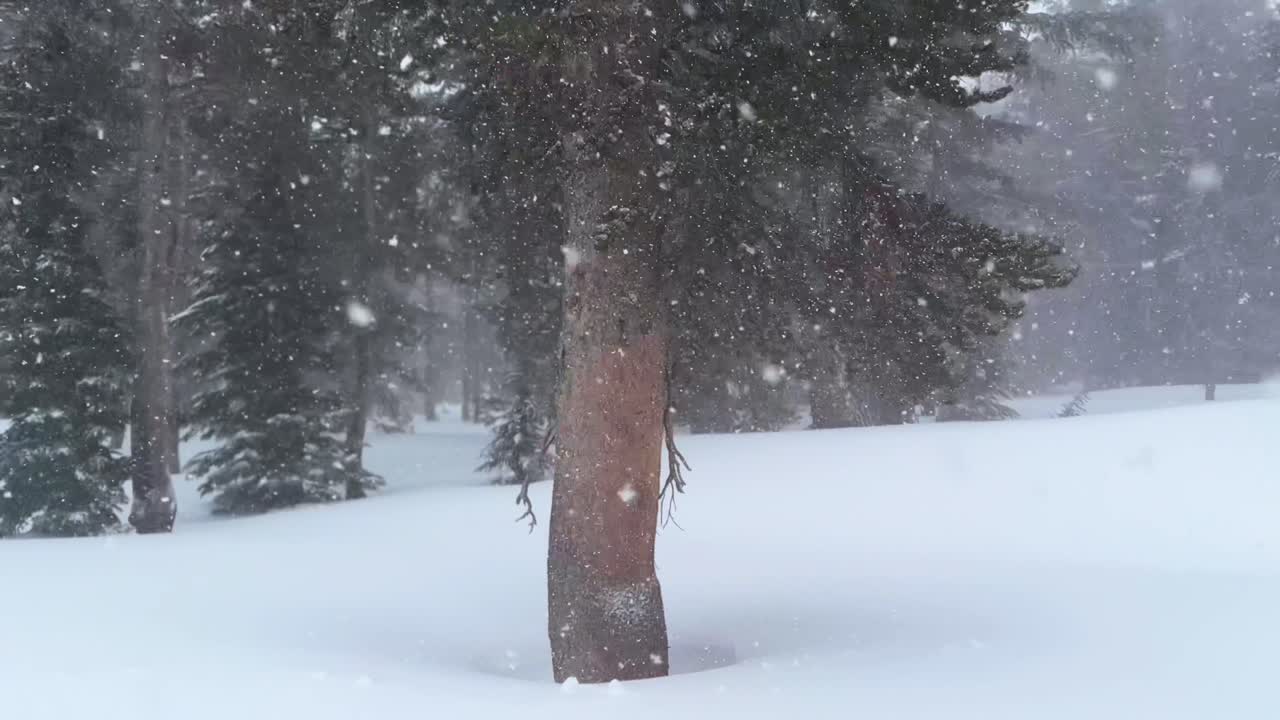 Mammoth ski resort The Hemlocks main lodge winter feet of snow dumping snowy blizzard on ski snowboard trail run California cloudy foggy backcountry pan forest pan circle right motion