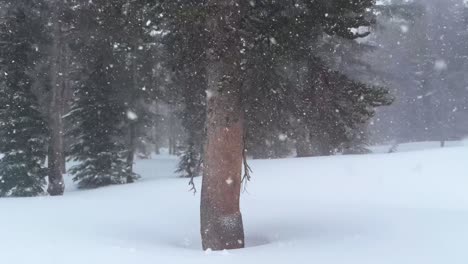 mammoth ski resort the hemlocks main lodge winter feet of snow dumping snowy blizzard on ski snowboard trail run california cloudy foggy backcountry pan forest pan circle right motion