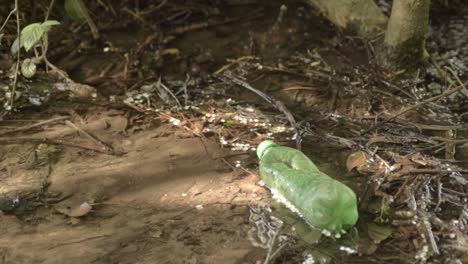 contaminación de botellas de plástico en el arroyo del campo.