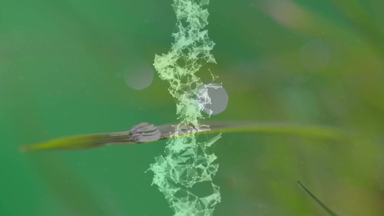 Animation of dna strand over grass on green background
