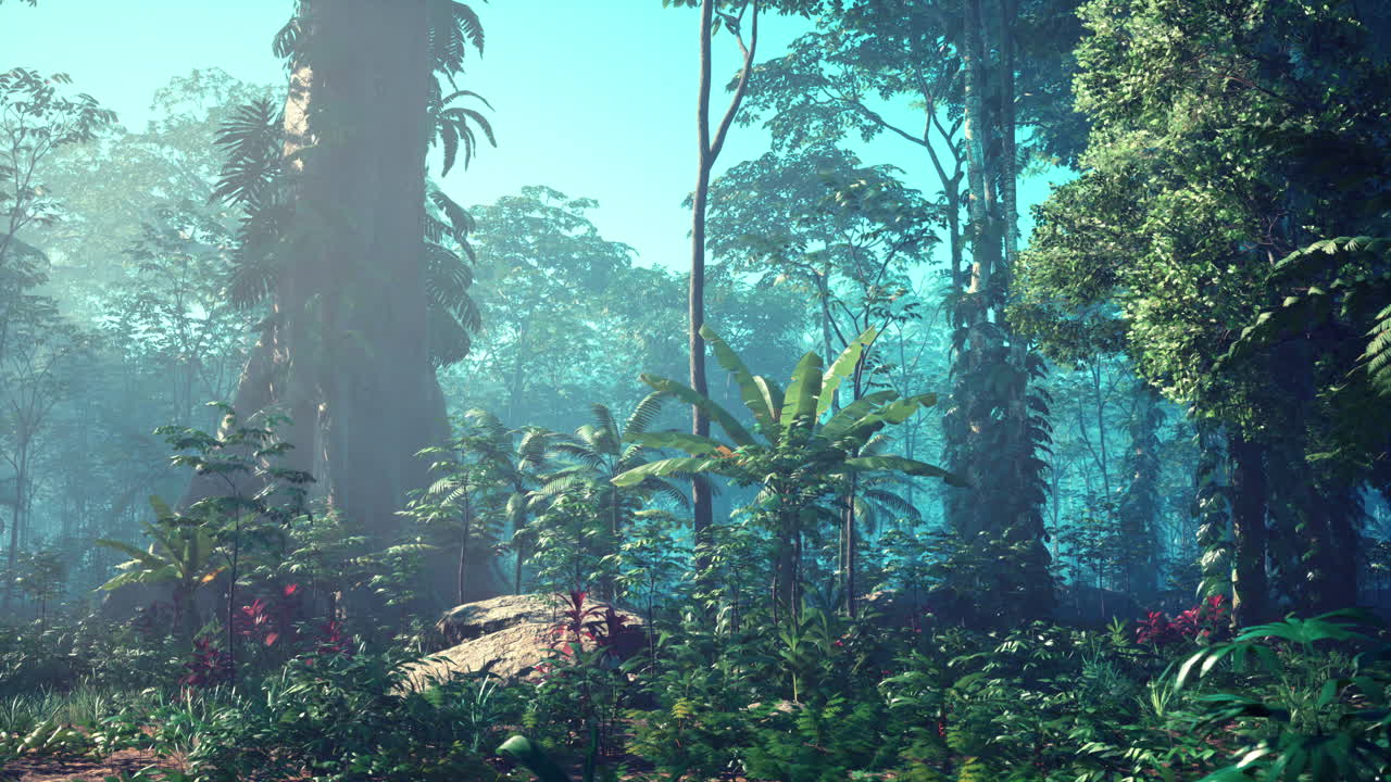 緑豊かな熱帯ジャングルシーン