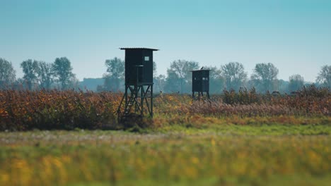 two wooden hunting towers in the field