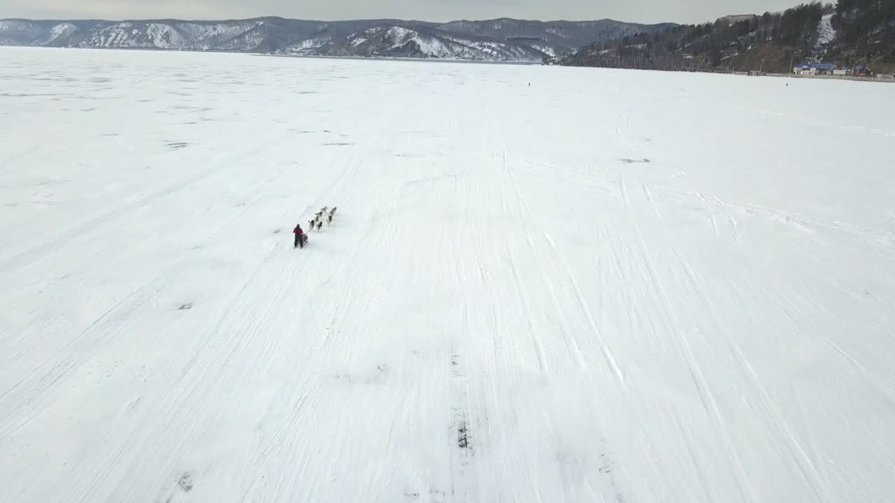 얼어붙은 호수 에서 개 매 를 타는 것