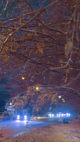 la luz dorada ilumina suavemente la rama del árbol con bayas y hojas de otoño bajo el cielo azul profundo, con el coche pasando y el edificio residencial en el fondo