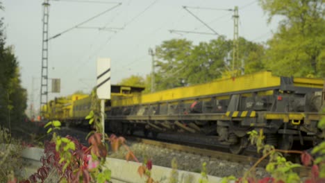 Yellow-construction-train-on-tracks-lined-with-autumn-trees-and-overhead-wires,-early-morning-light