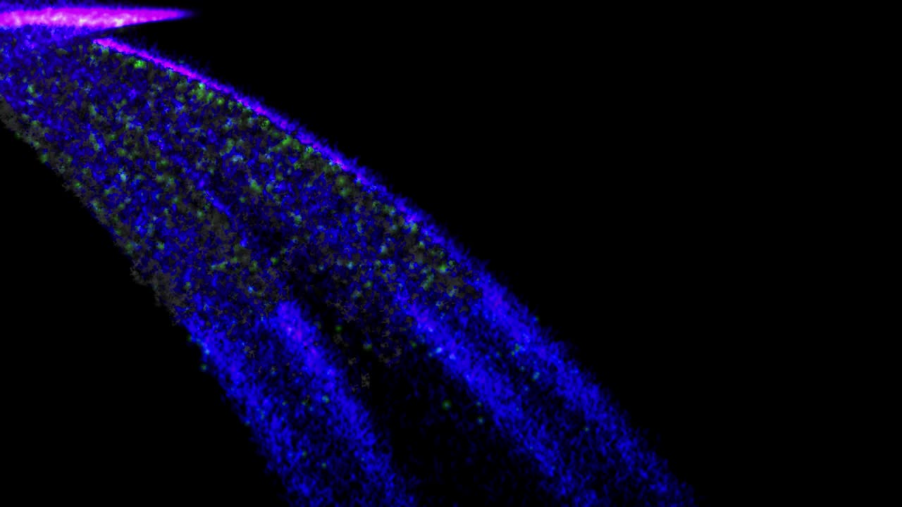 animación de partículas de color de llama gráficos de movimiento