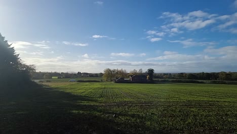 fresh new growth crops growing in autumn seasonal fertile agricultural farmland meadow in rural england