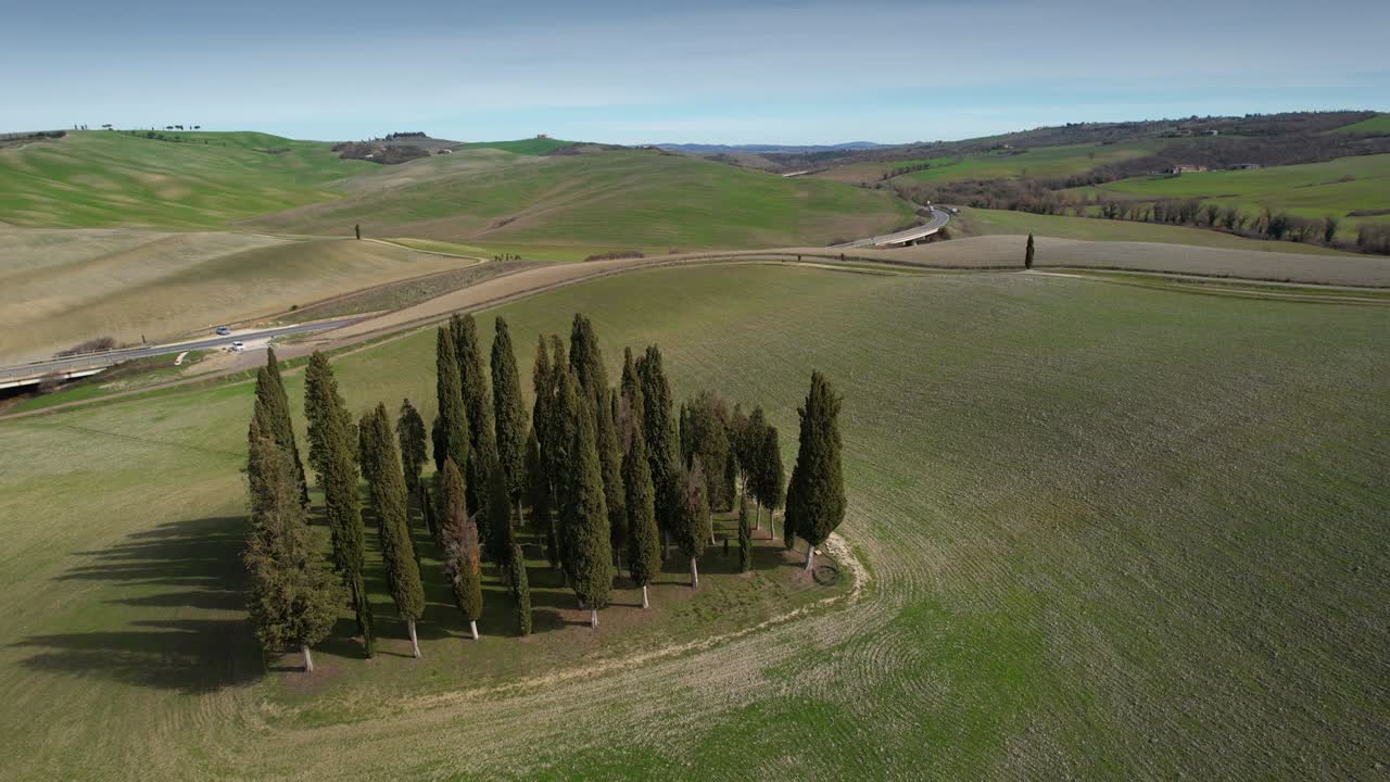 группа кипарисов в тоскане недалеко от сан-квирико-д'орсия. круглый воздушный вид кипариса в валь-д'орсия, италия