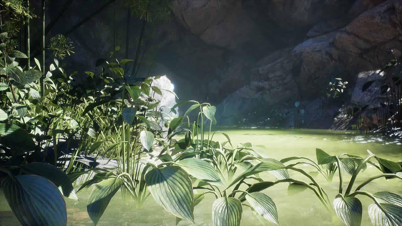 солнечное утро в тропических пустынных джунглях, бабочки у пруда, пещера и скалы, лучи света в тропическом лесу, цикличная анимация идеально подходит для природы, путешествий и приключений.