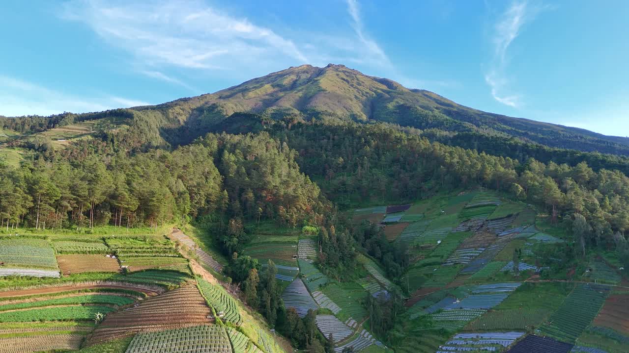 Beautiful aerial view of lush hillside agriculture and forest landscape unfolding beneath tropical mountain peak. Mount Sumbing, Indonesia