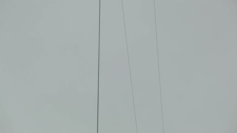 cruzando cables eléctricos en la ciudad