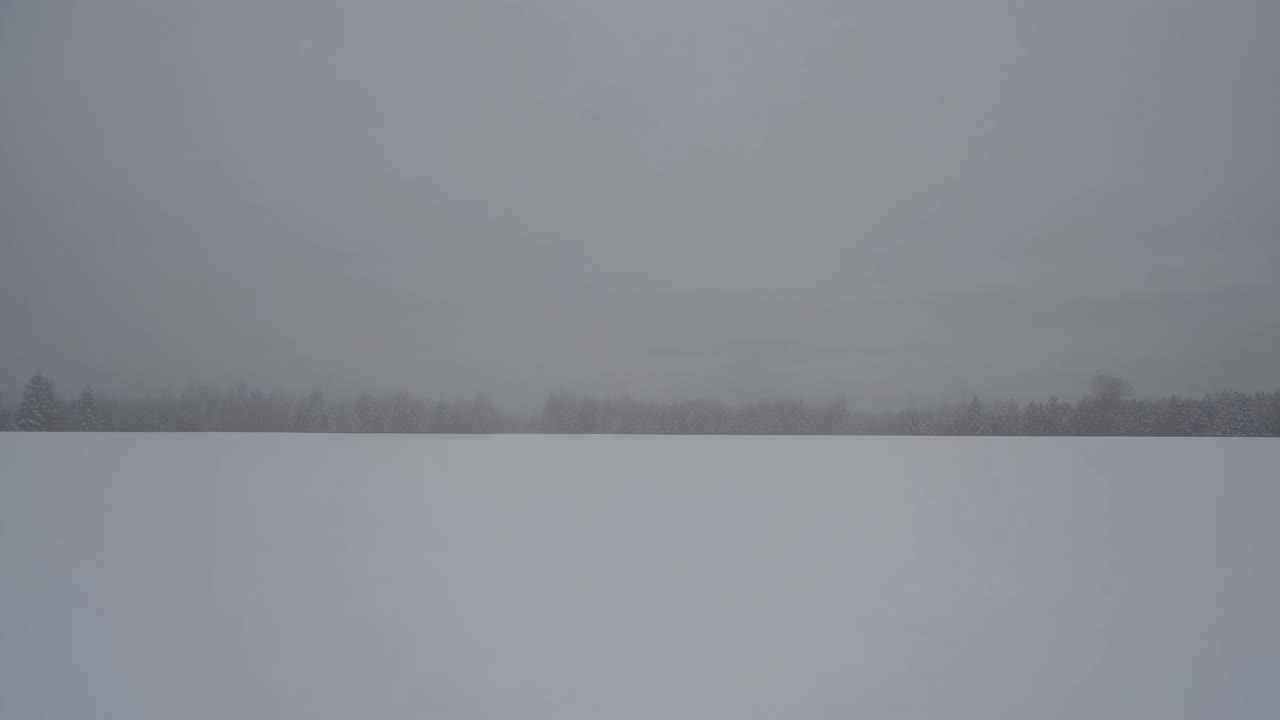 A serene winter landscape video captured from a low-angle, showcasing a vast snow-covered field