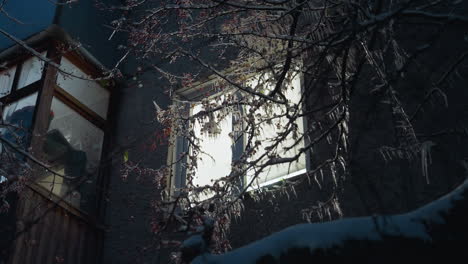 residential building exterior illuminated by light streaming through a window, surrounded by frosty branches of a tree, the glowing light inside contrasts beautifully with the icy